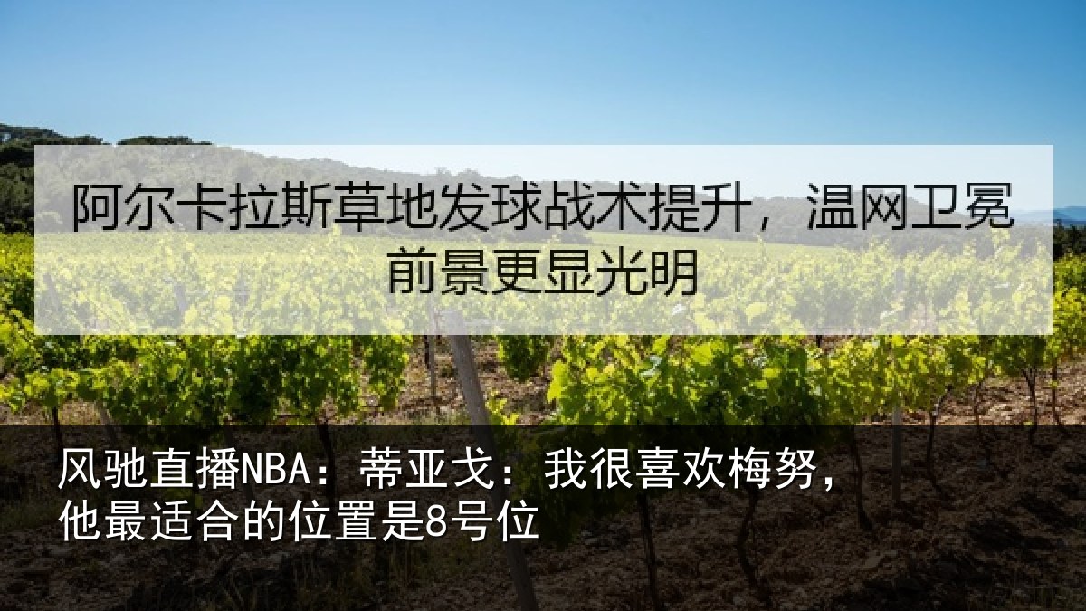 风驰直播NBA:蒂亚相关情况最适合的位置是8号位