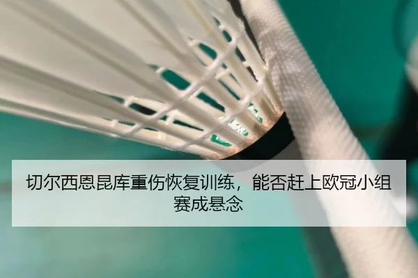 切尔西恩昆库重伤恢复训练，能否赶上欧冠小组赛成悬念