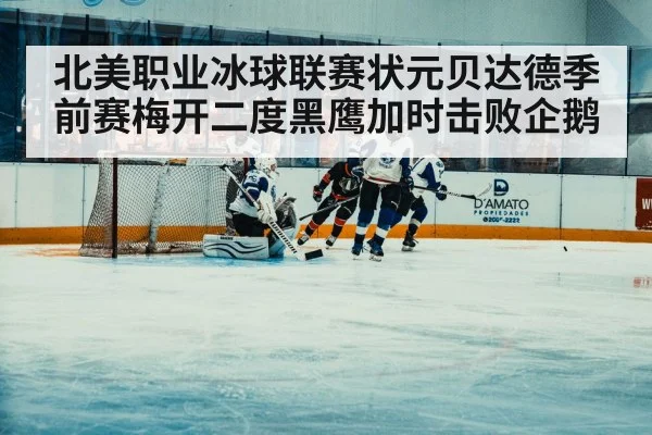 北美职业冰球联赛状元贝达德季前赛梅开二度黑鹰加时击败企鹅