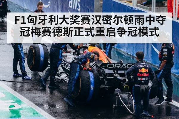 F1匈牙利大奖赛汉密尔顿雨中夺冠梅赛德斯正式重启争冠模式